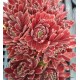 4 - Kövirózsa - Bordó, bundis, keskeny levelű - Sempervivum